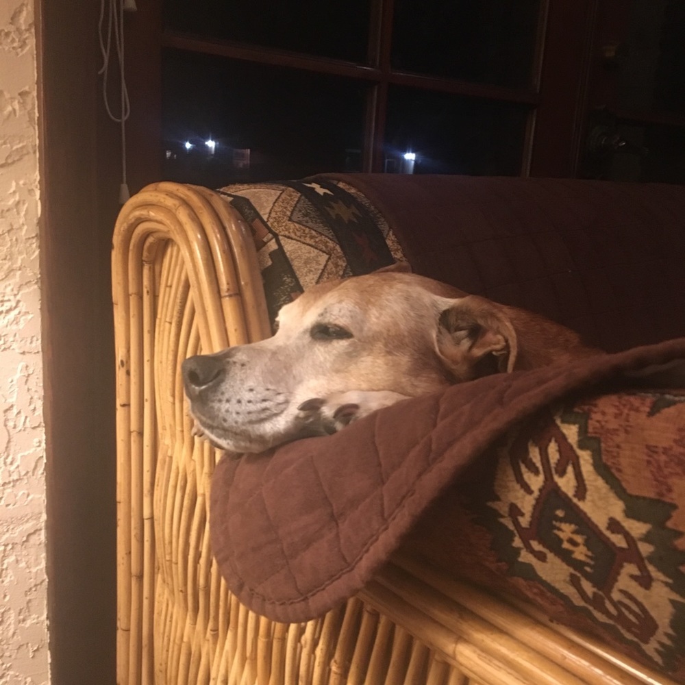 Meet your Posher, Cameron